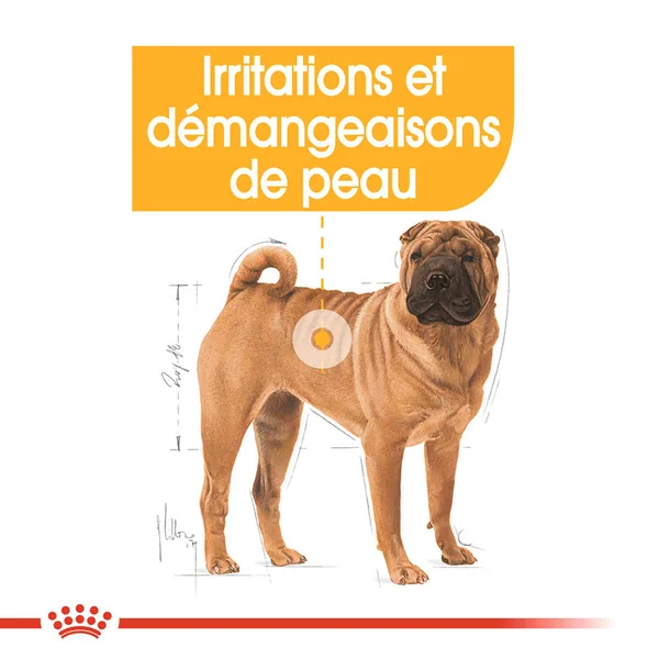 Royal Canin Medium Dermacomfort
