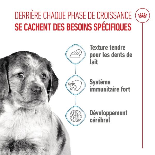 Royal Canin Medium Puppy - Sachet