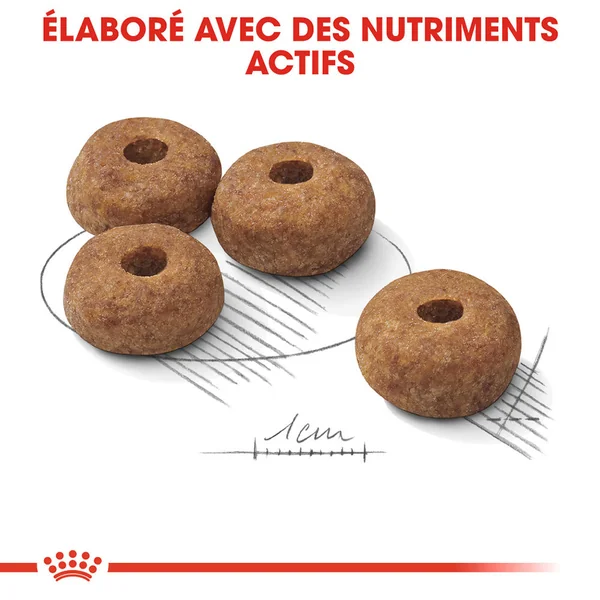 Royal Canin Medium Sterilised