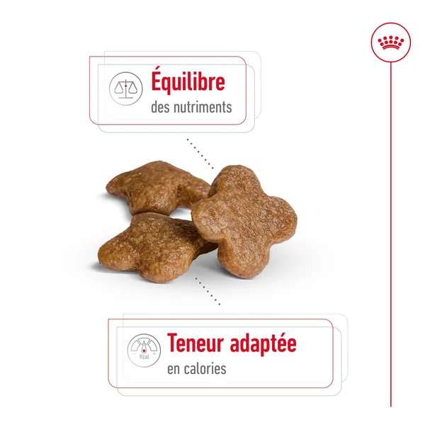 Royal Canin Mini Adult 8+