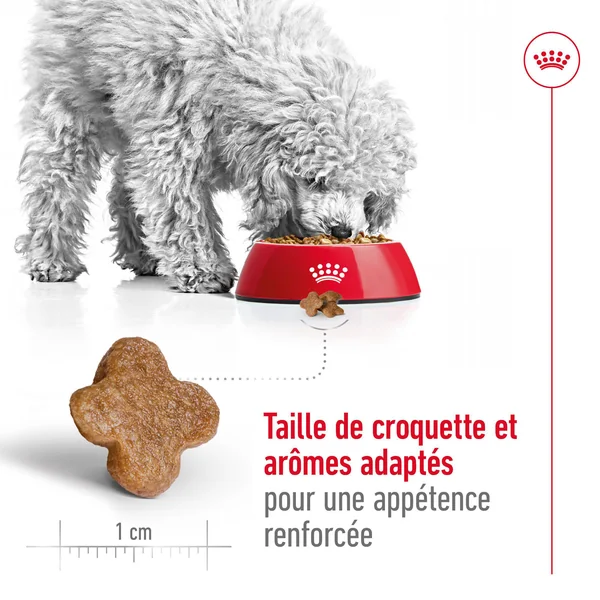 Royal Canin Mini Adult 8+