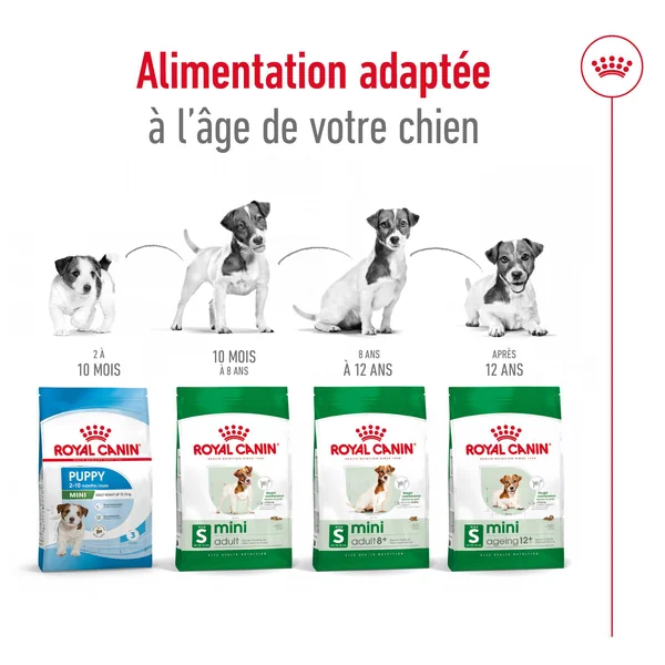 Royal Canin Mini Adult 8+