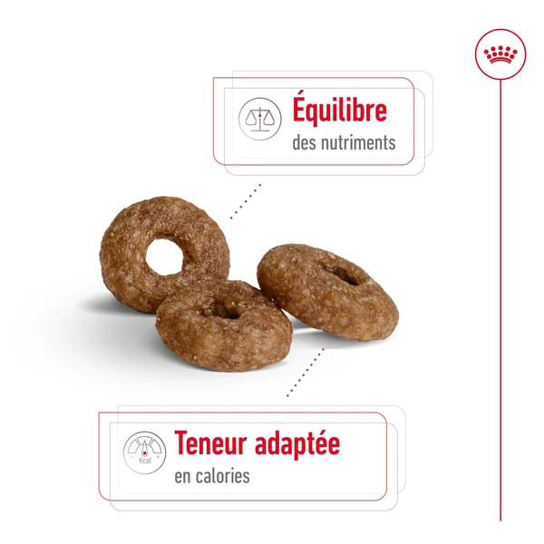 Royal Canin Mini Ageing 12+