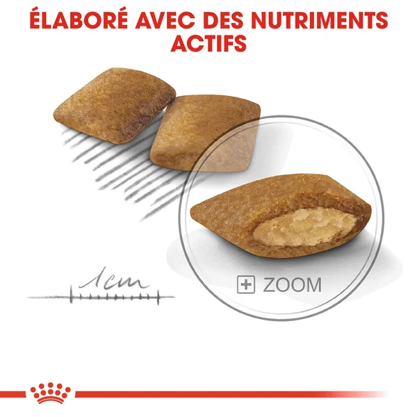 Royal Canin Mini Exigent