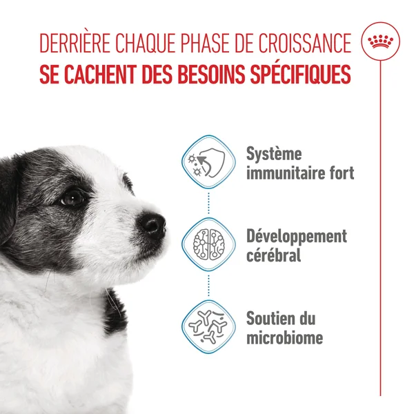 Royal Canin Mini Puppy