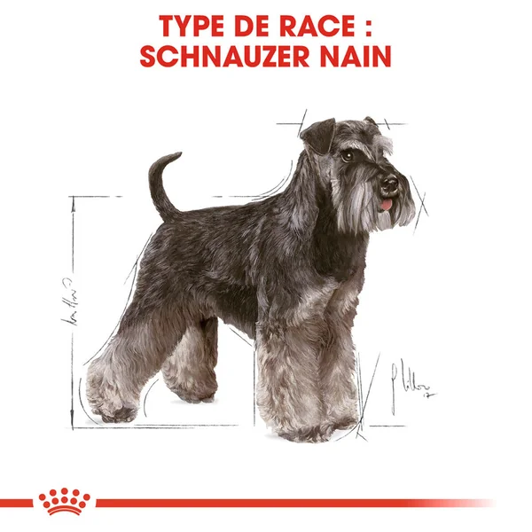 Royal Canin Mini Schnauzer Adult