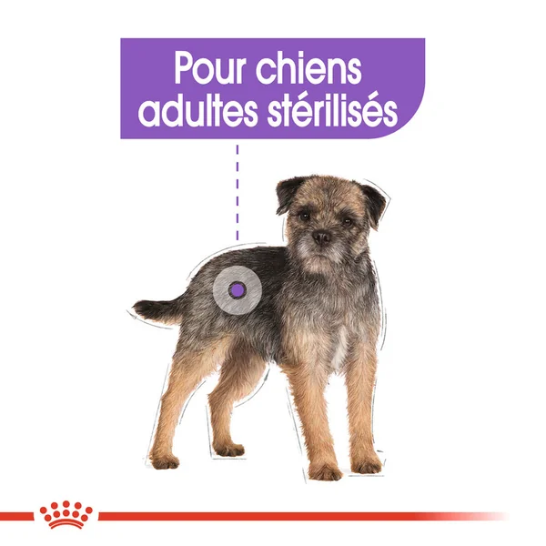 Royal Canin Mini Sterilised