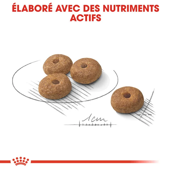 Royal Canin Mini Sterilised