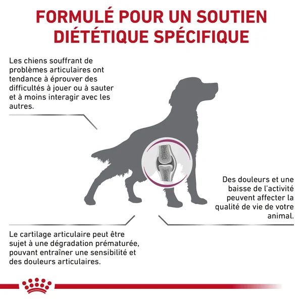 Royal Canin Mobility C2P+ Chien