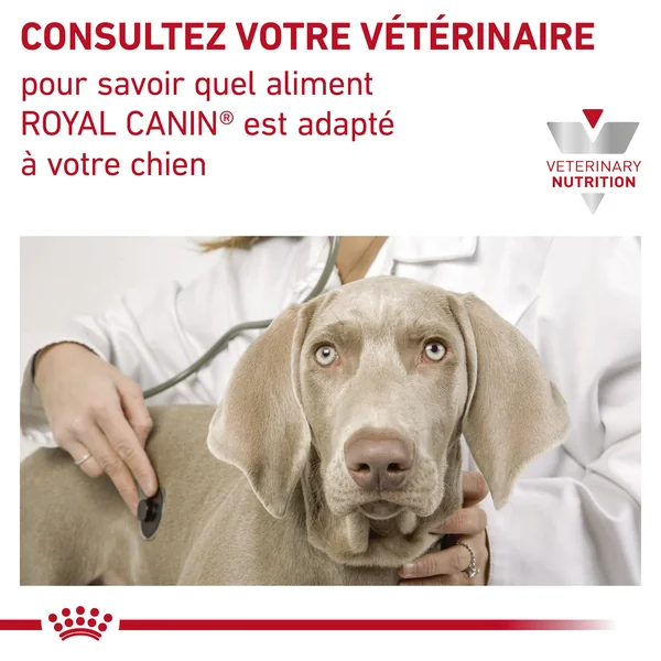 Royal Canin Mobility C2P+ Chien