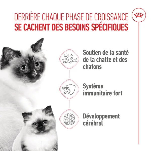 Royal Canin Mother & Babycat