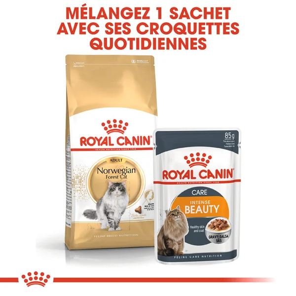 Royal Canin Norwegian Forest Cat Adult