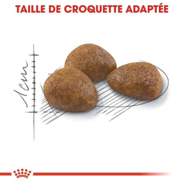 Royal Canin Outdoor 7+