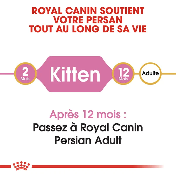 Royal Canin Persian Kitten