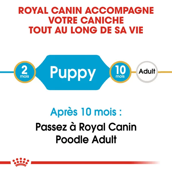 Royal Canin Poodle Puppy