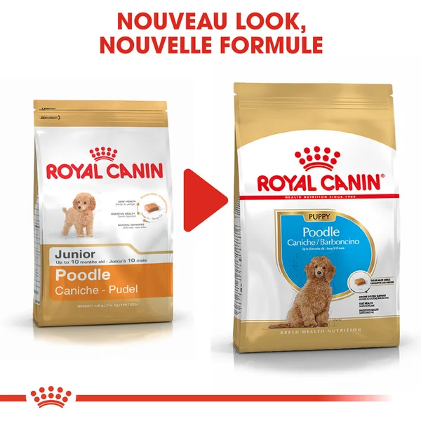 Royal Canin Poodle Puppy