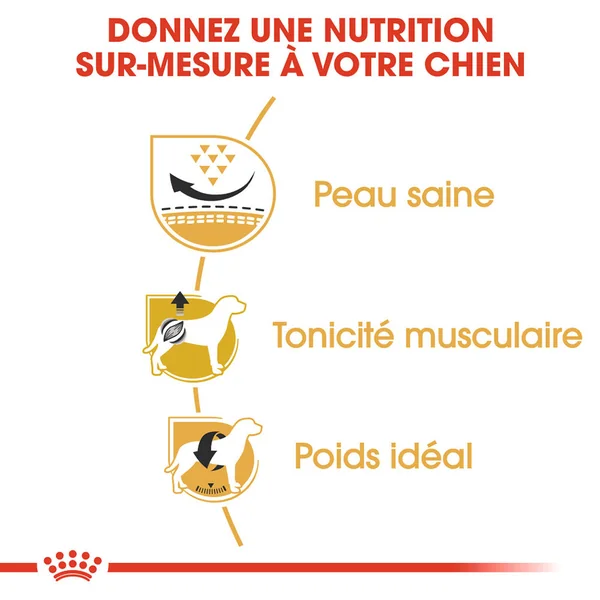 Royal Canin Pug Adult - Alimentation pour Chiens