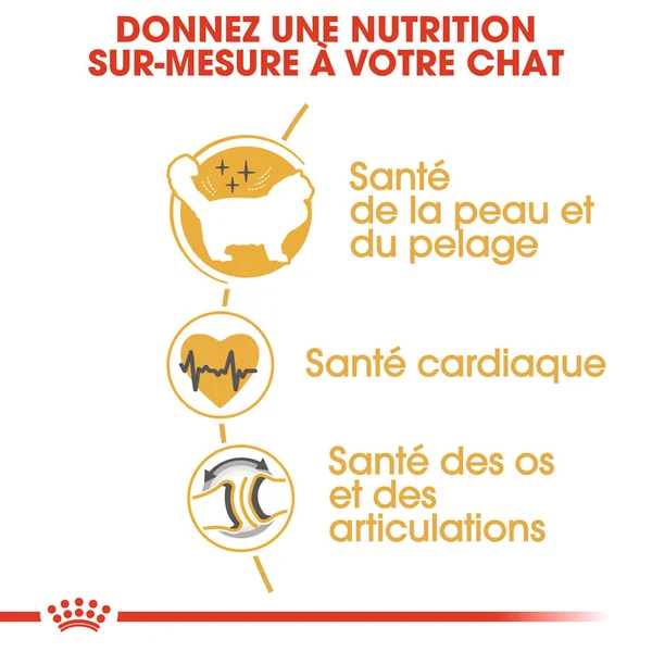 Royal Canin Ragdoll Adult - Alimentation pour Chats