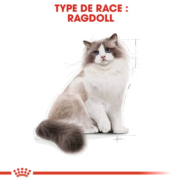 Royal Canin Ragdoll Adult - Alimentation pour Chats