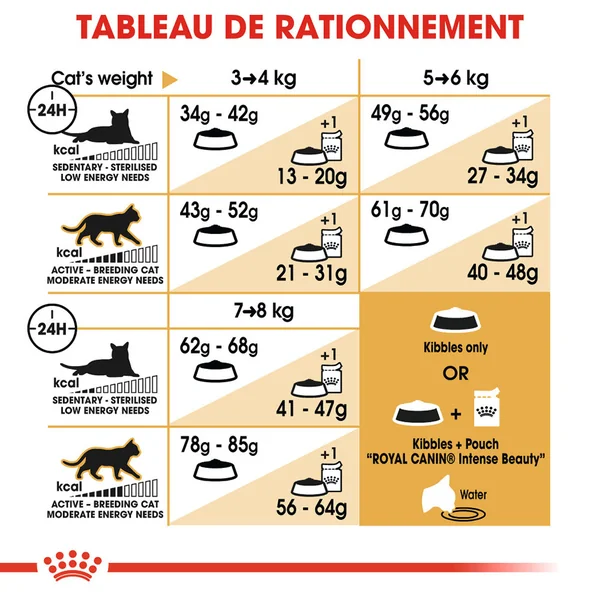 Royal Canin Ragdoll Adult - Alimentation pour Chats