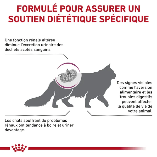 Royal Canin Renal Select (RSE 24)