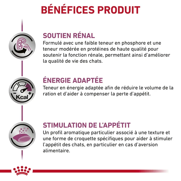 Royal Canin Renal Select (RSE 24)