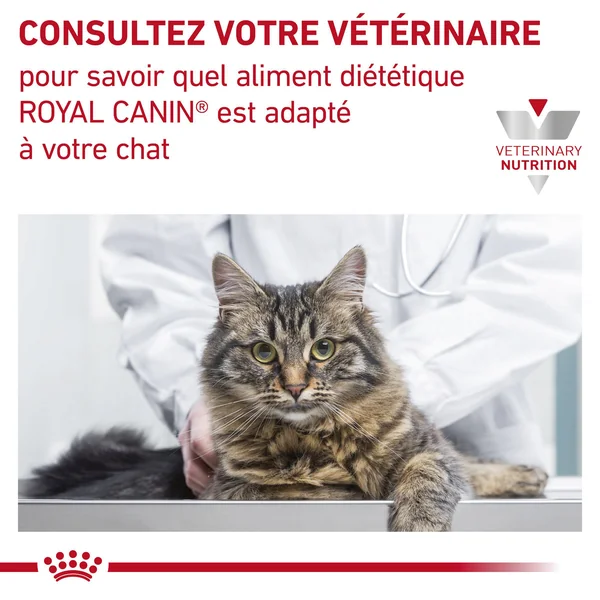 Royal Canin Renal Select (RSE 24)