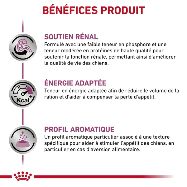 Royal Canin Renal Special Wet - Chien