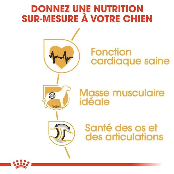 Royal Canin Rottweiler Adult - Alimentation pour Chiens