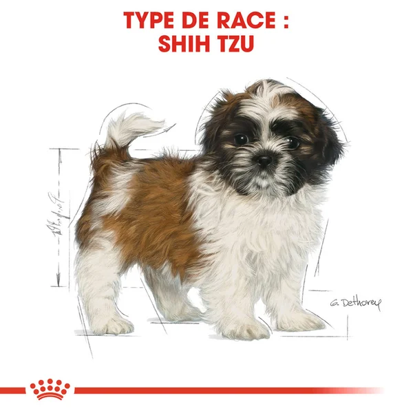 Royal Canin Shih Tzu Puppy - Alimentation pour Chiens