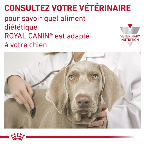 Royal Canin S/O Urinary Ageing 7+ - Sachet