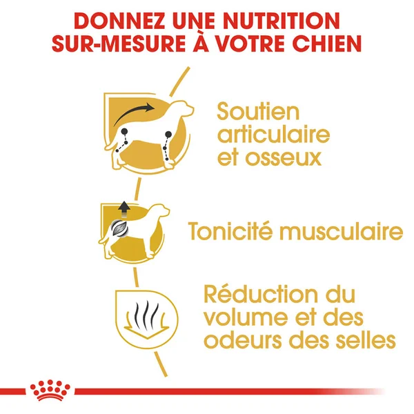 Royal Canin Teckel Adult