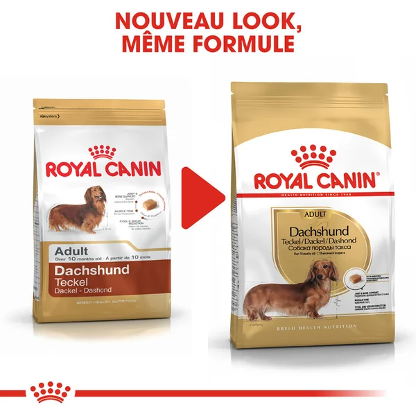 Royal Canin Teckel Adult