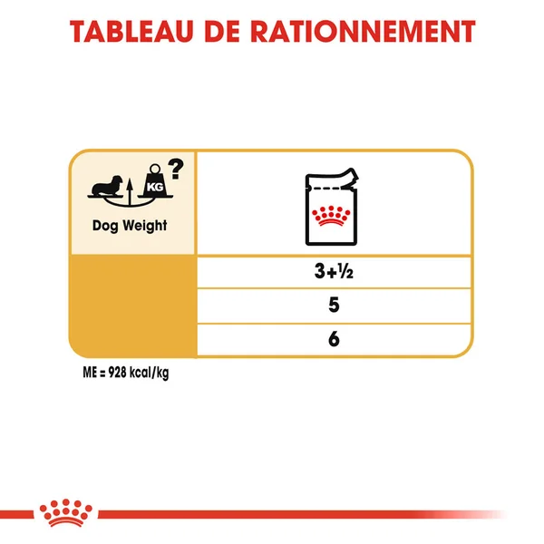 Royal Canin Teckel Adult - Sachet