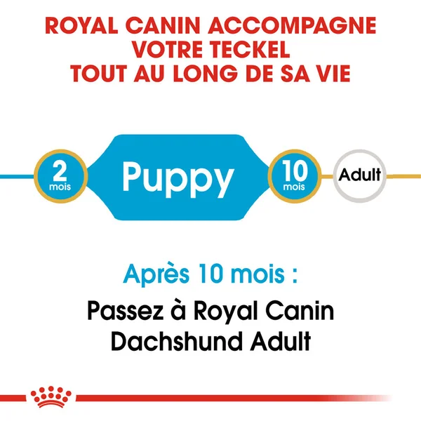 Royal Canin Teckel Puppy