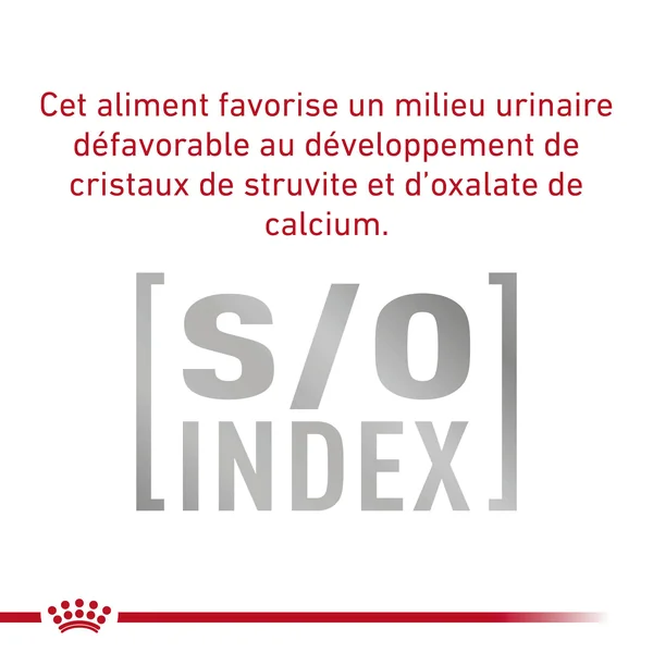 Royal Canin Urinary S/O Moderate Calorie Wet Chien