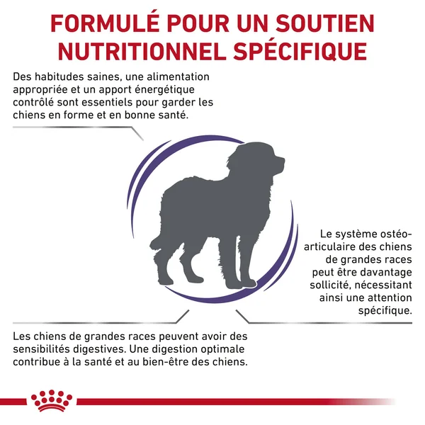 Royal Canin VCN Adult Large