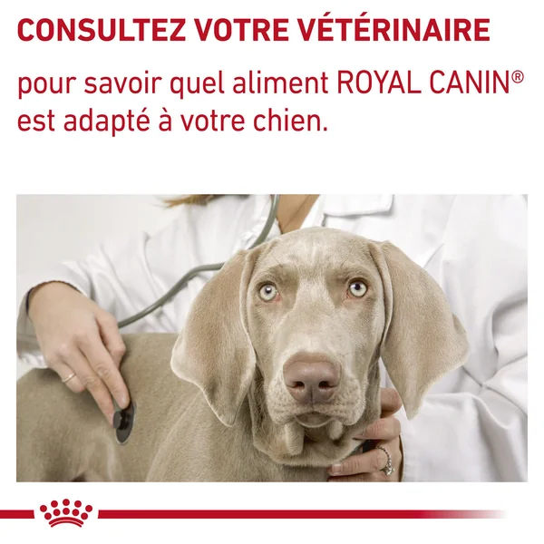 Royal Canin VCN Adult Large