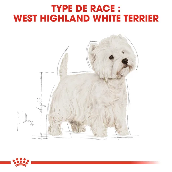 Royal Canin West Highland White Terrier Adult