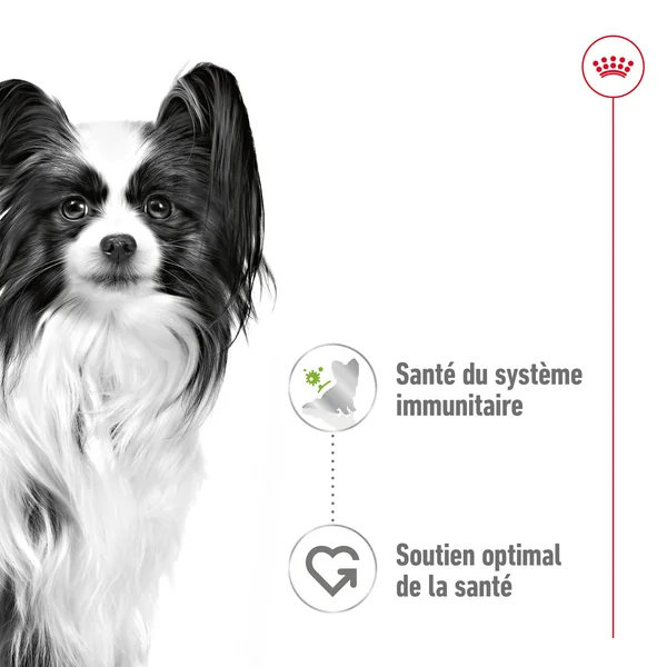 Royal Canin X-Small Adult Wet - Sachet - Aliments pour chiens