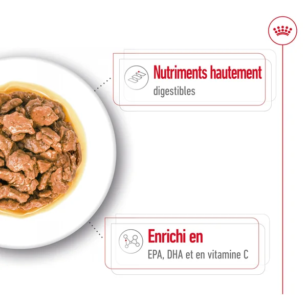 Royal Canin X-Small Adult Wet - Sachet - Aliments pour chiens