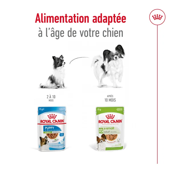 Royal Canin X-Small Adult Wet - Sachet - Aliments pour chiens