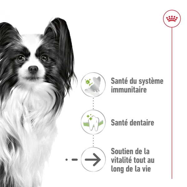 Royal Canin X-Small Ageing 12+