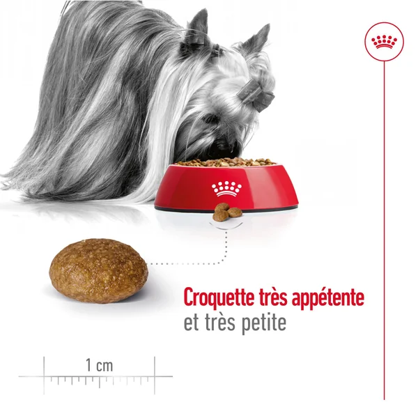 Royal Canin X-Small Ageing 12+