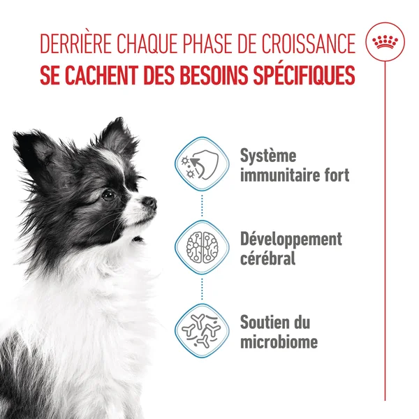 Royal Canin X-Small Puppy - Alimentation pour chien