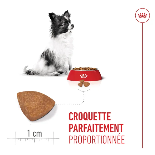 Royal Canin X-Small Puppy - Alimentation pour chien