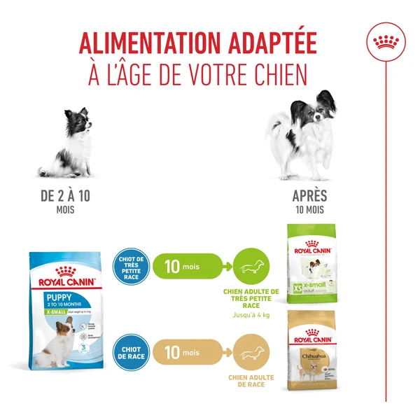 Royal Canin X-Small Puppy - Alimentation pour chien