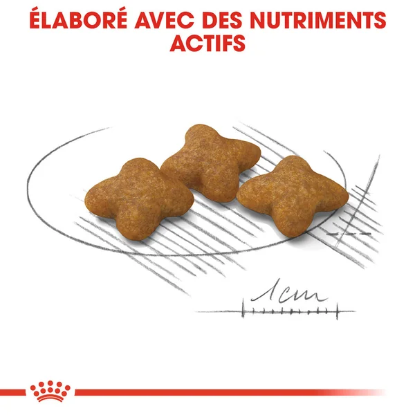 Royal Canin X-Small Sterilised