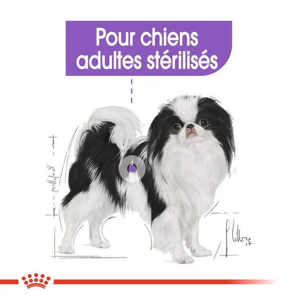 Royal Canin X-Small Sterilised