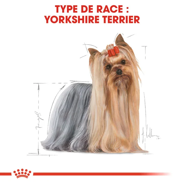 Royal Canin Yorkshire Terrier Adult
